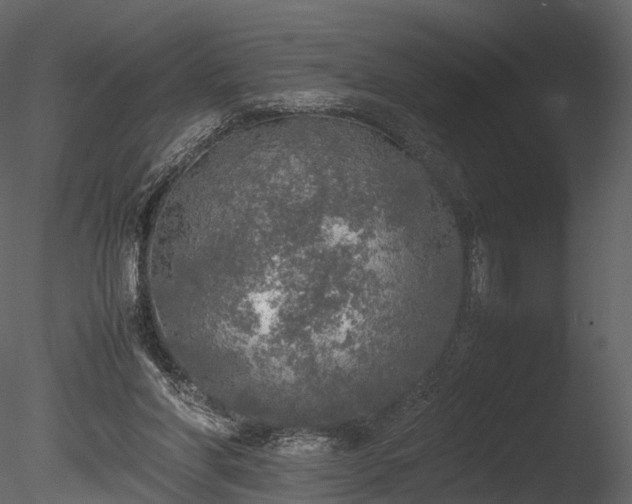 X0000085250206200703161301