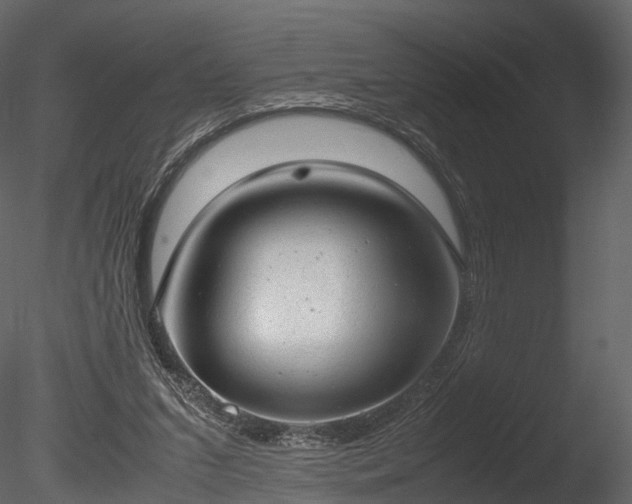 X0000085250207200703161301