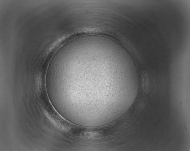 X0000085250208200703161301