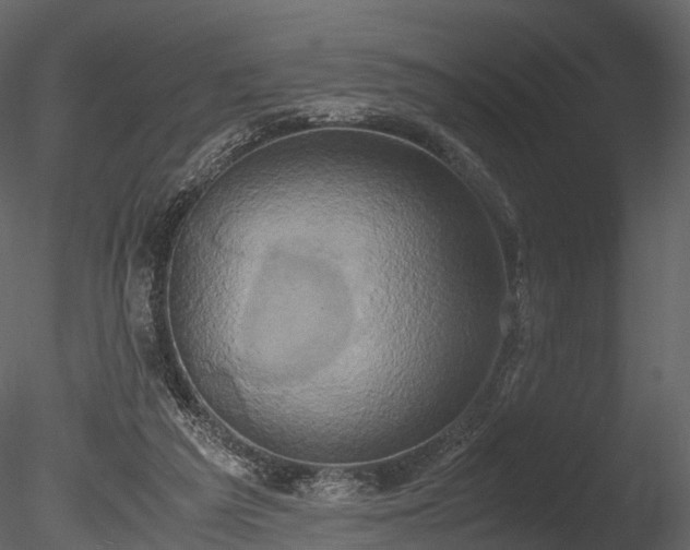 X0000085250209200703161301