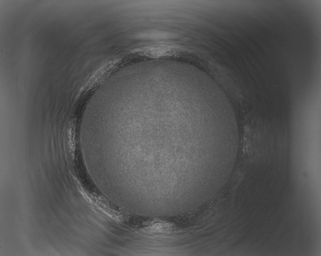 X0000085250210200703161301