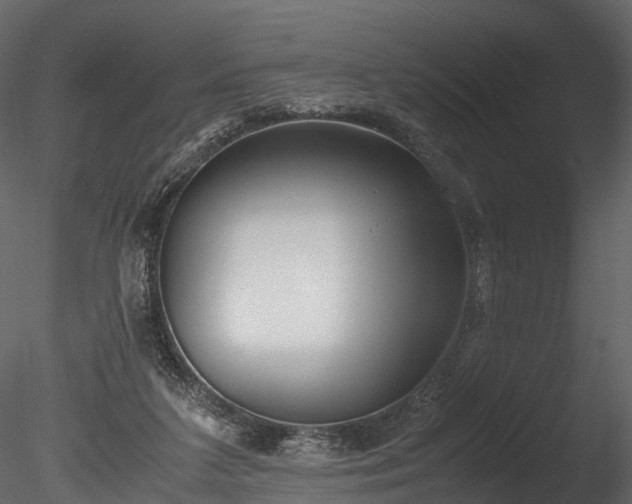 X0000085250211200703161301