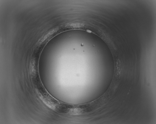 X0000085250212200703161301