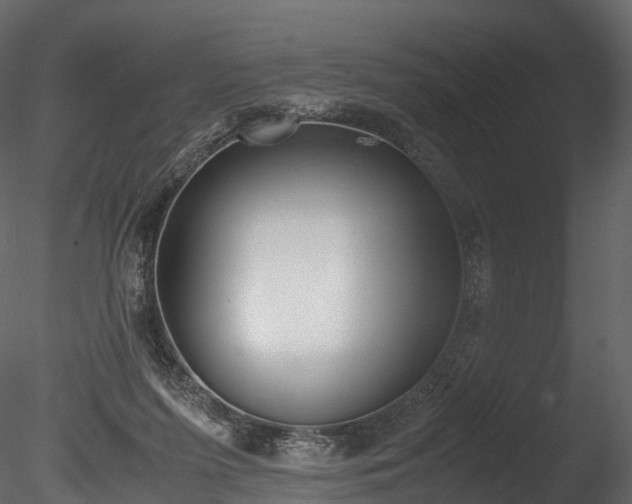 X0000085250215200703161301