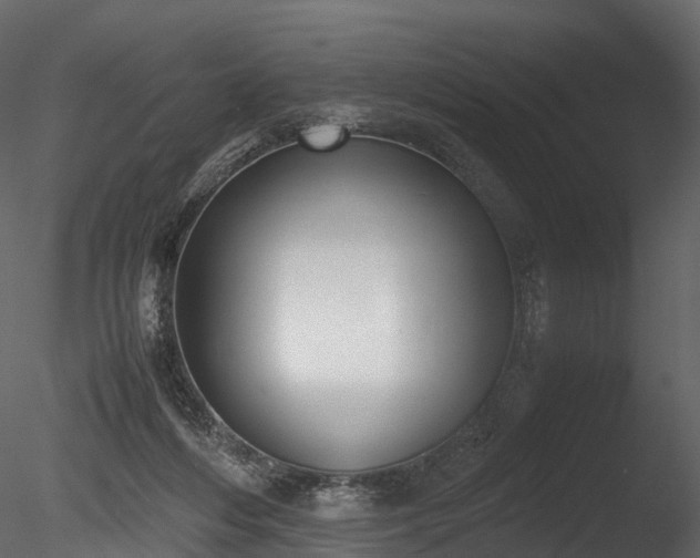 X0000085250216200703161301