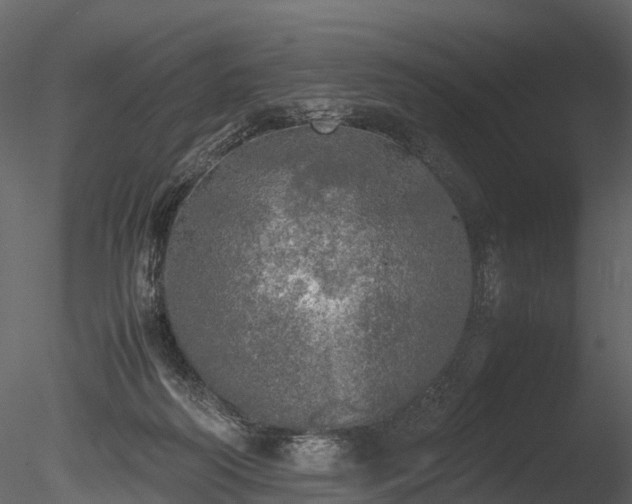 X0000085250218200703161301