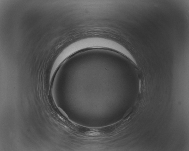 X0000085250219200703161301