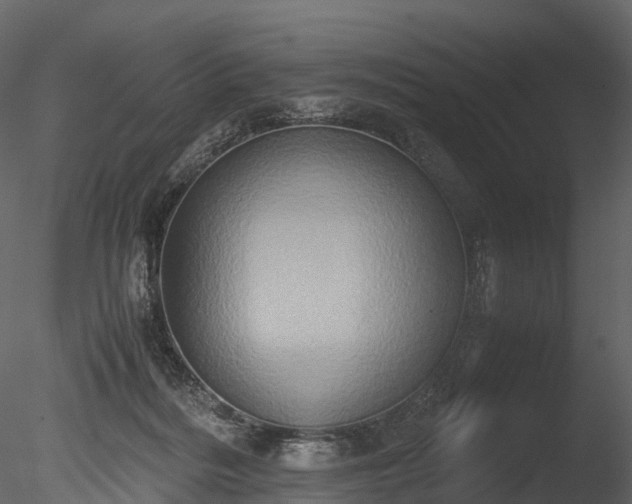 X0000085250220200703161301