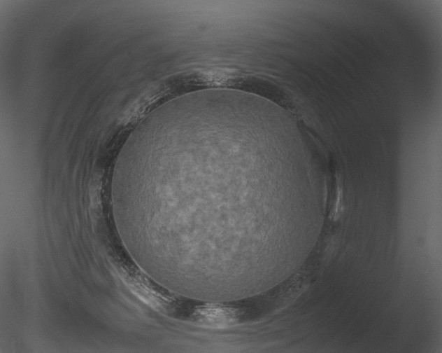 X0000085250221200703161301