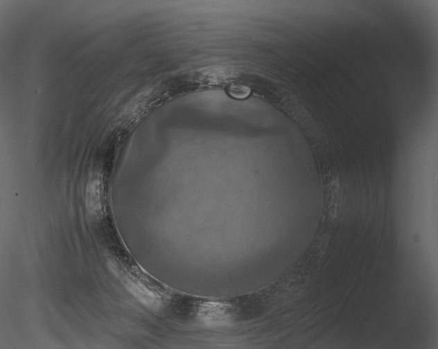 X0000085250222200703161301