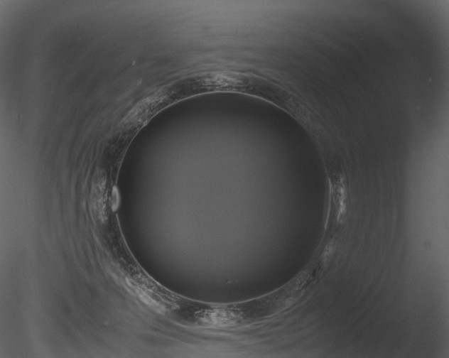 X0000085250223200703161301