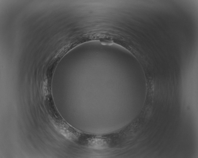 X0000085250224200703161301