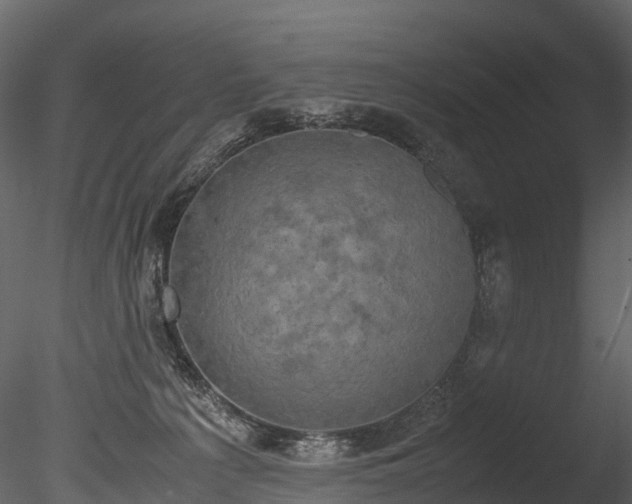 X0000085250225200703161301