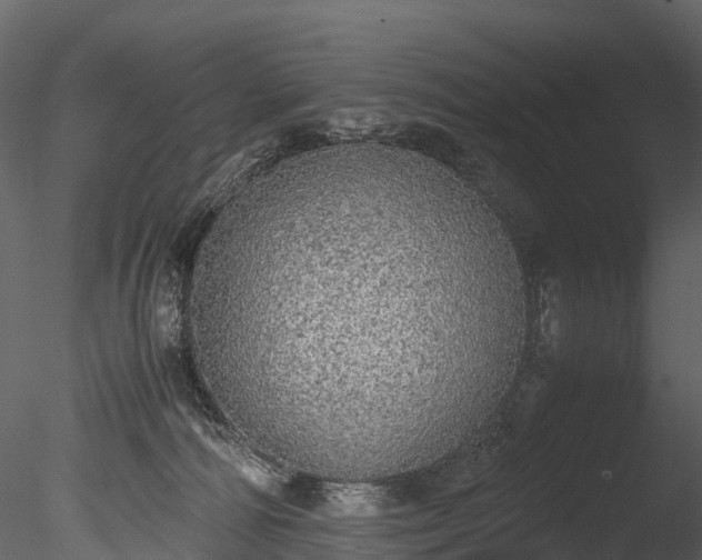 X0000085250226200703161301