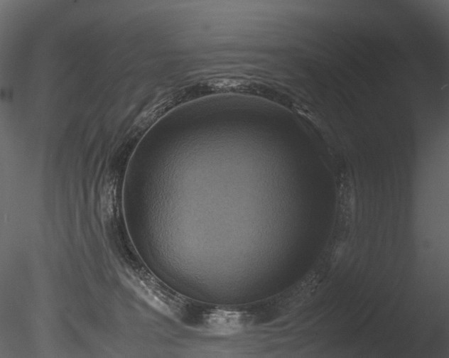 X0000085250227200703161301