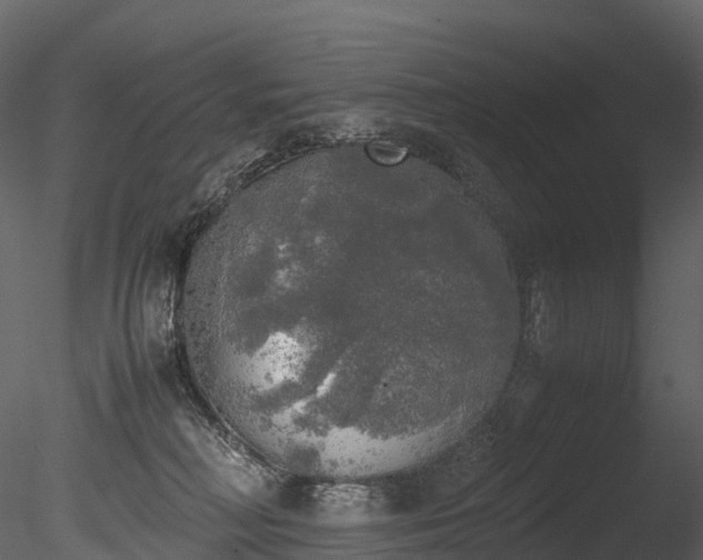 X0000085250230200703161301