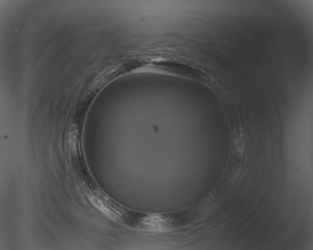 X0000085250231200703161301