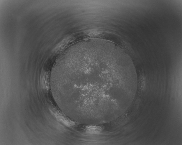 X0000085250234200703161300