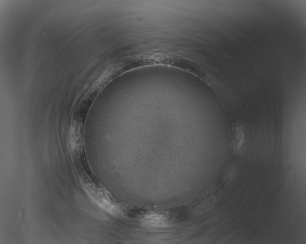 X0000085250236200703161300