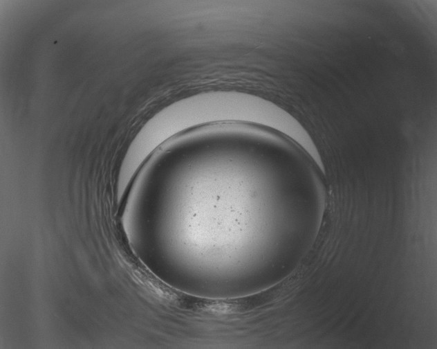 X0000085250237200703161300