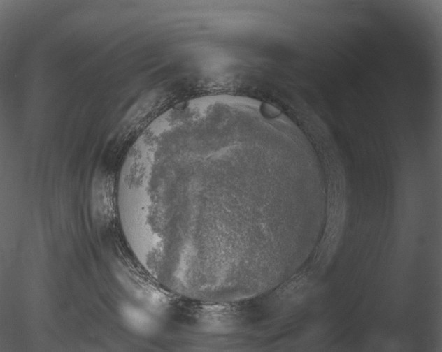 X0000085250240200703161300