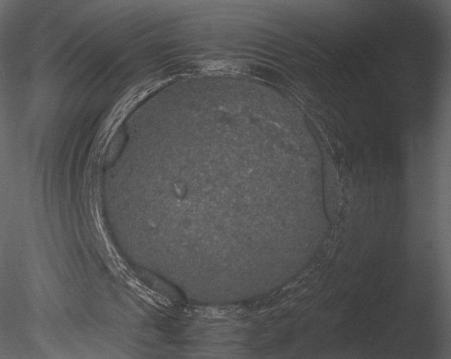 X0000085250241200703161300