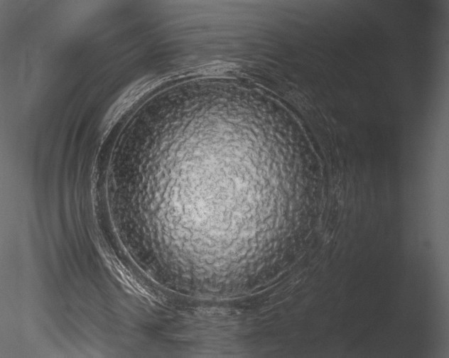 X0000085250242200703161300