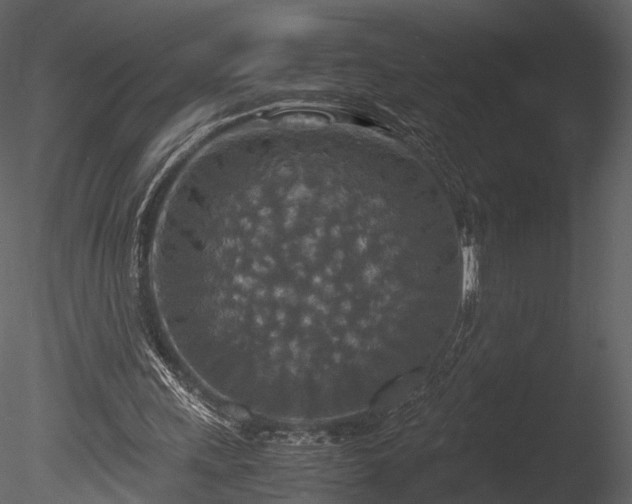 X0000085250243200703161300