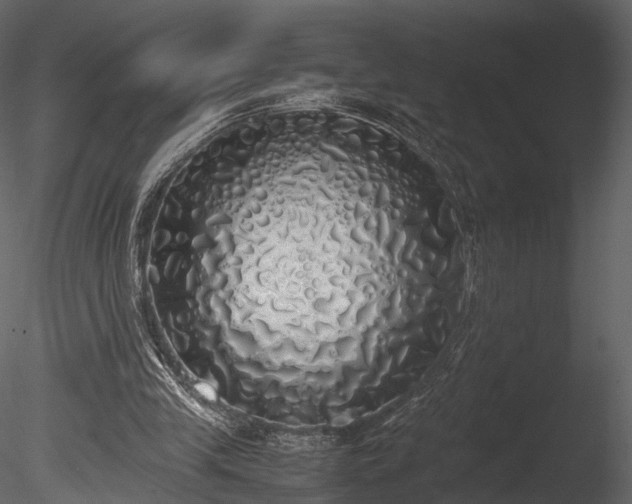 X0000085250245200703161300