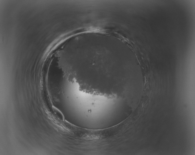 X0000085250247200703161300