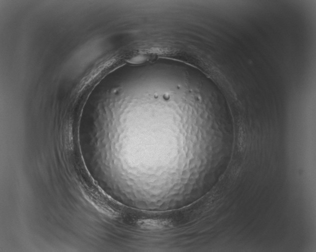 X0000085250251200703161300