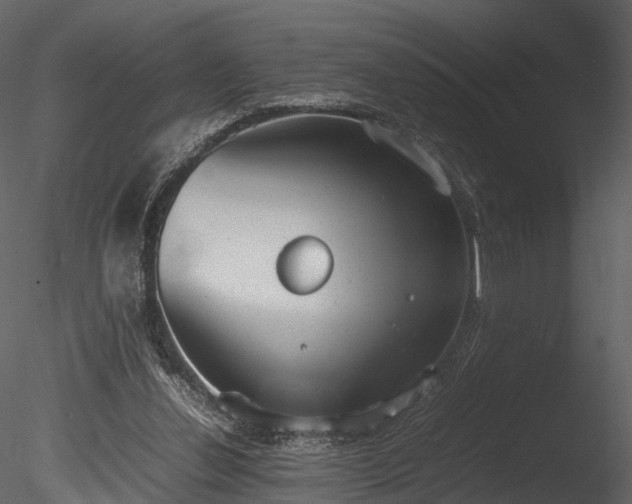 X0000085250252200703161300