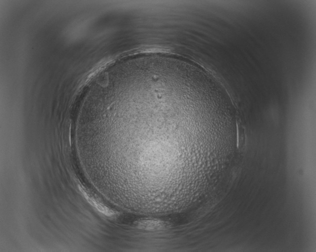 X0000085250253200703161300