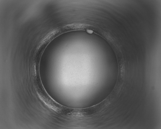 X0000085250254200703161300