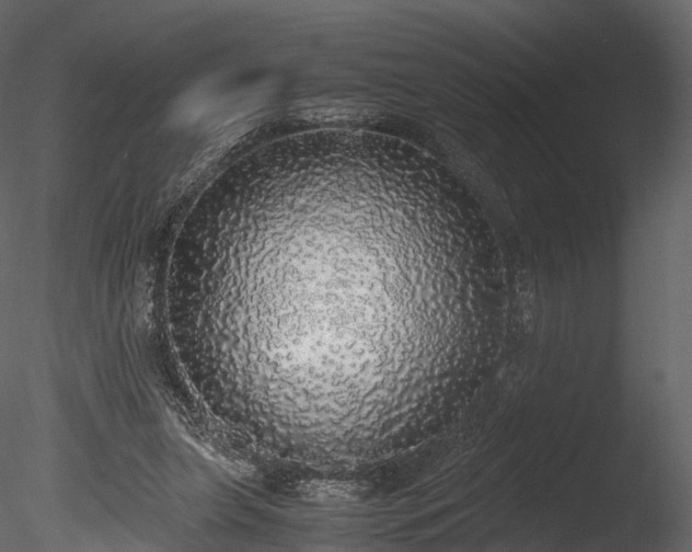 X0000085250255200703161300