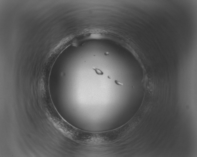 X0000085250256200703161300