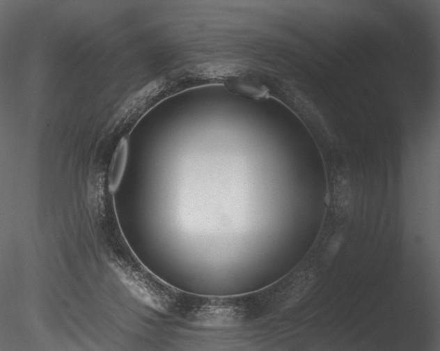 X0000085250260200703161300