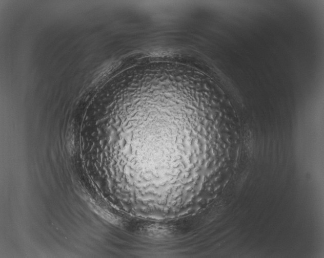 X0000085250261200703161300