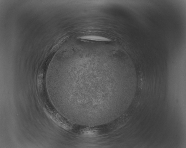 X0000085250263200703161300