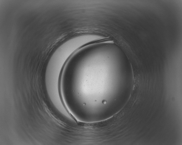 X0000085250264200703161300