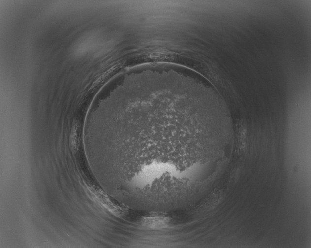 X0000085250266200703161300