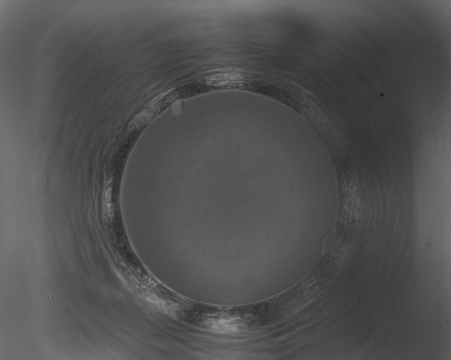 X0000085250267200703161300