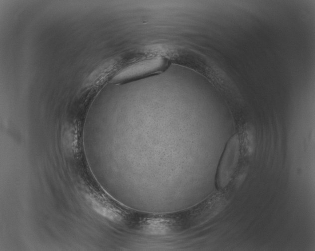 X0000085250268200703161300