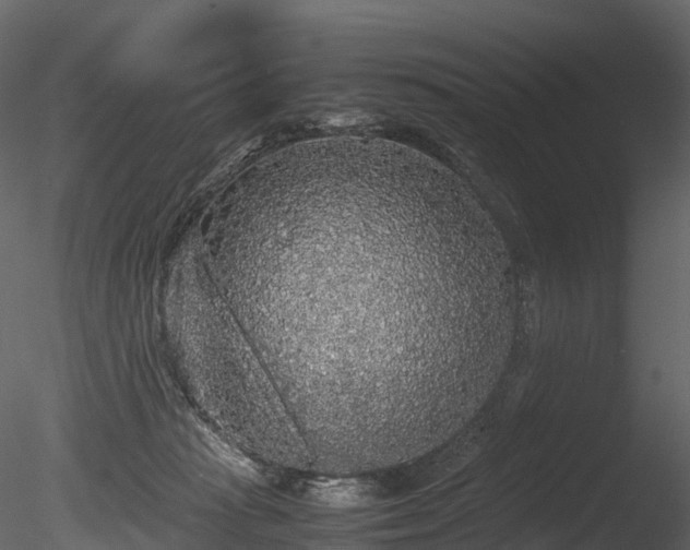 X0000085250269200703161300