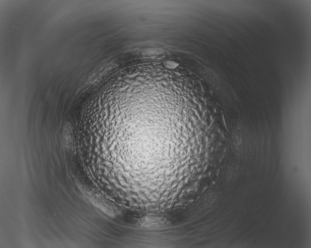 X0000085250270200703161300