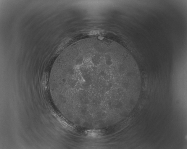 X0000085250273200703161300