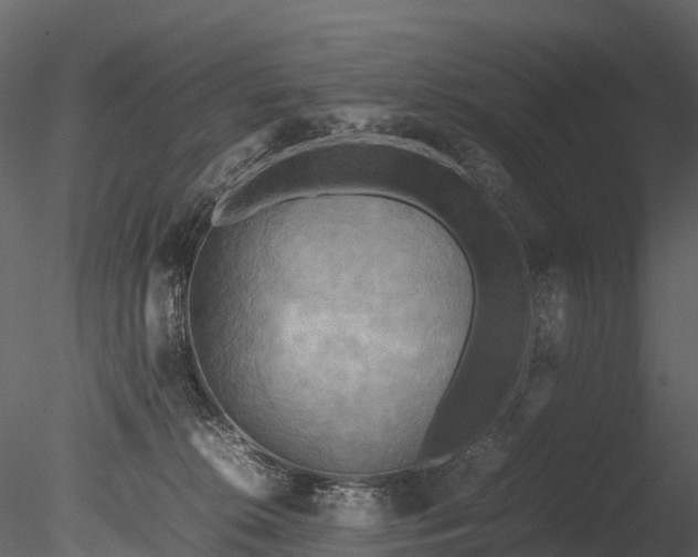 X0000085250276200703161300