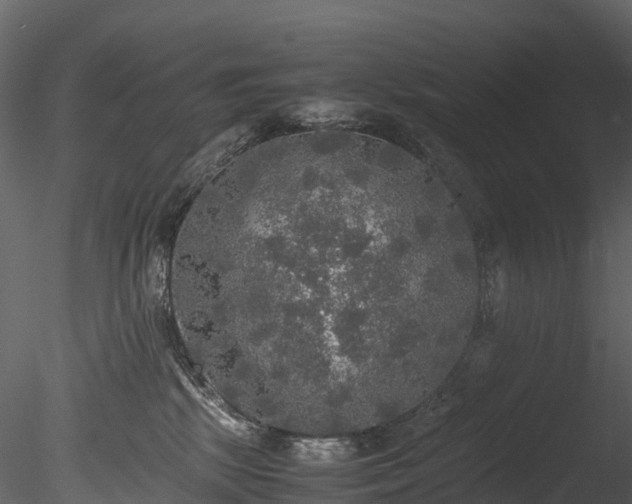 X0000085250281200703161300