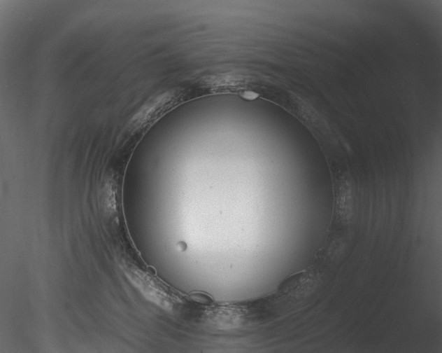 X0000085250282200703161300