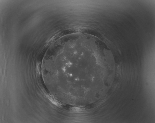 X0000085250286200703161300